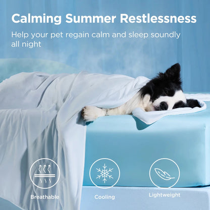 Bedsure Cooling Dog Blanket - Keeps Pets Cool, Lightweight Design, Breathable & Washable - Looeco